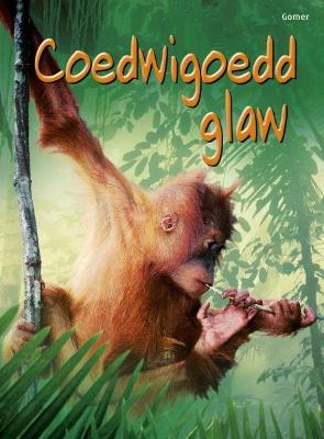 Book cover for Cyfres Dechrau Da: Coedwigoedd Glaw