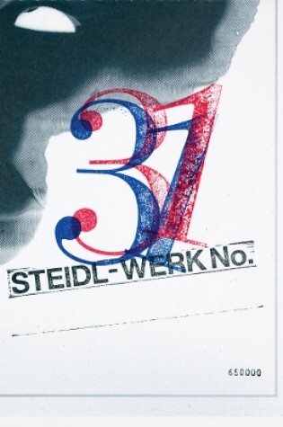 Cover of Theseus Chan: STEIDL–WERK No.31 - GHOSTS IN THE MACHINE