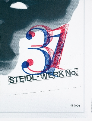 Book cover for Theseus Chan: STEIDL–WERK No.31 - GHOSTS IN THE MACHINE