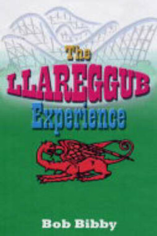 Cover of The Llareggu B Experience