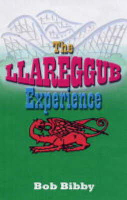 Book cover for The Llareggu B Experience