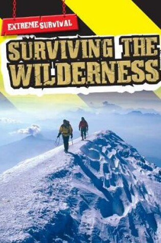 Cover of Surviving in the Wilderness