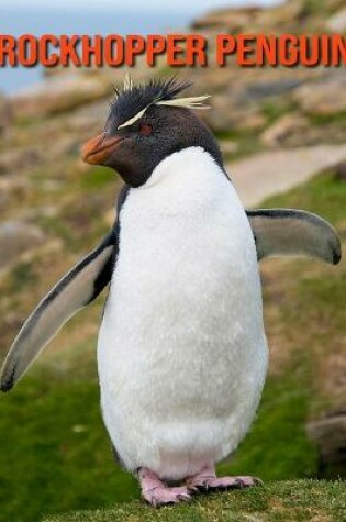Cover of Rockhopper Penguin