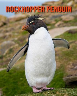 Book cover for Rockhopper Penguin