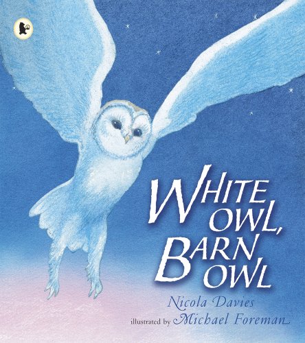 Cover of White Owl, Barn Owl