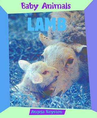 Book cover for Lamb