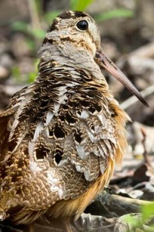 Cover of The American Woodcock Journal