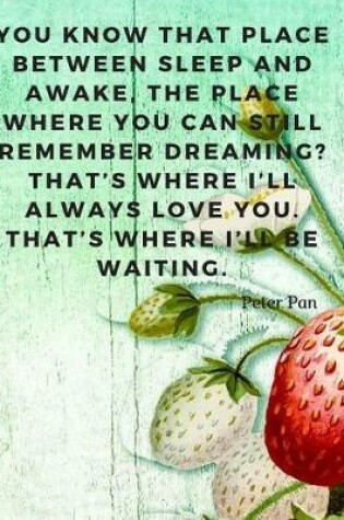 Cover of You know that place between sleep and awake, the place where you can still remember dreaming? That's where I'll always love you. That's where I'll be waiting.