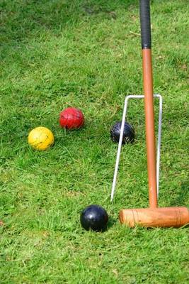 Book cover for Croquet Anyone? Mallet, Balls, and Hoop Game Journal