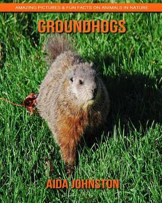 Book cover for Groundhogs