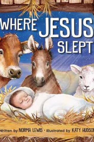 Cover of Where Jesus Slept