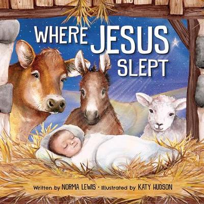 Book cover for Where Jesus Slept