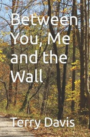 Cover of Between You, Me and the Wall