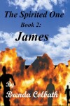 Book cover for James Book 2