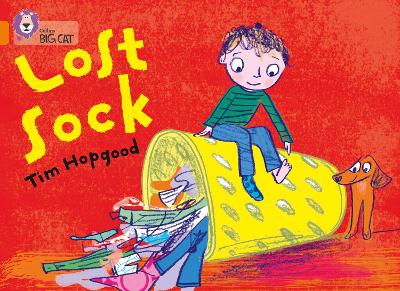 Cover of The Lost Sock