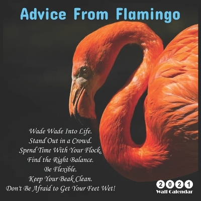 Book cover for Advice From Flamingo 2021 Wall Calendar