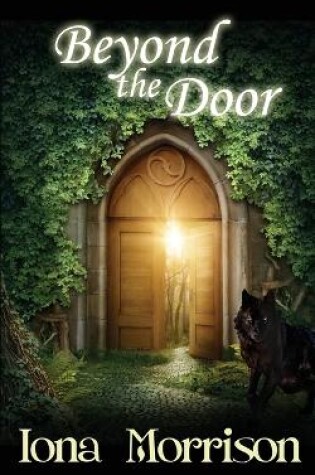 Cover of Beyond the Door