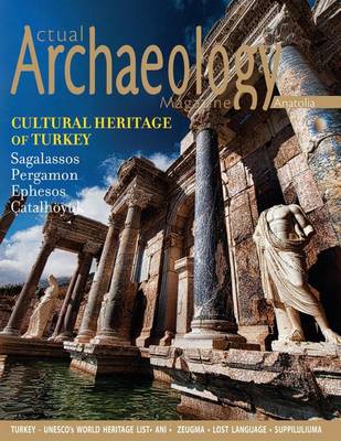 Cover of Actual Archalogy