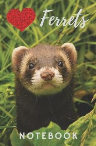 Cover of Ferret Notebook