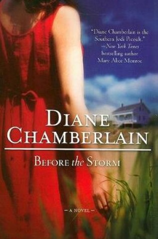 Cover of Before the Storm