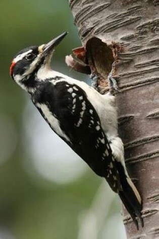 Cover of Hairy Woodpecker Journal