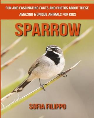Book cover for Sparrow