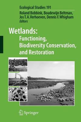 Book cover for Wetlands