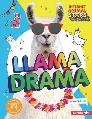 Book cover for Llama Drama