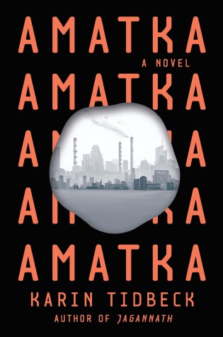 Cover of Amatka