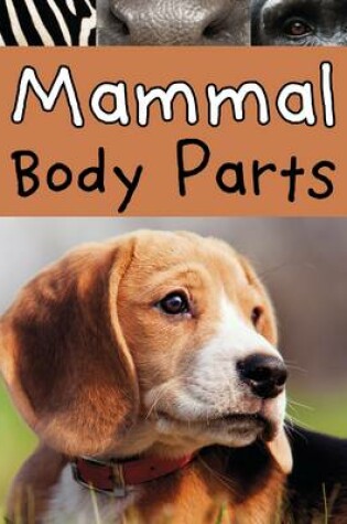 Cover of Animal Body Parts Pack A of 6