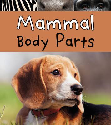 Cover of Animal Body Parts Pack A of 6