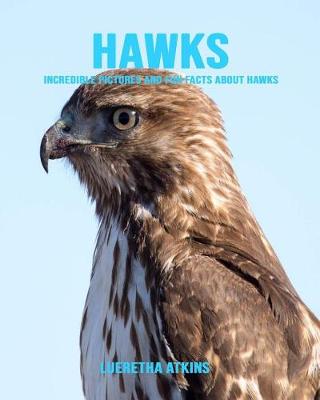 Book cover for Hawks