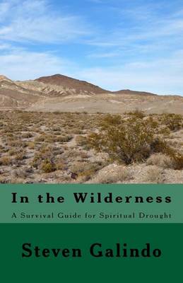 Book cover for In the Wilderness