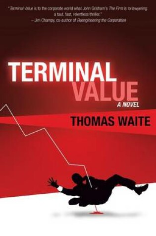 Cover of Terminal Value