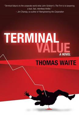 Book cover for Terminal Value