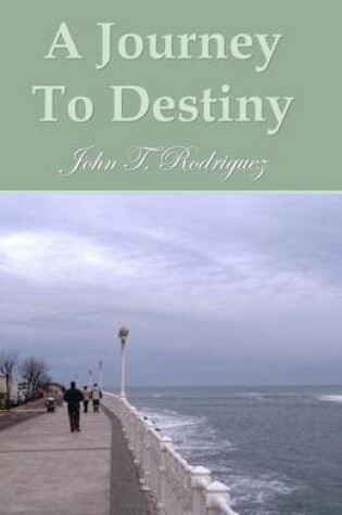 Cover of A Journey To Destiny