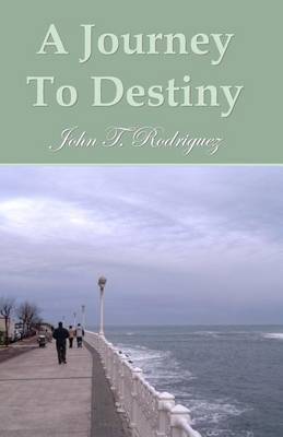 Book cover for A Journey To Destiny