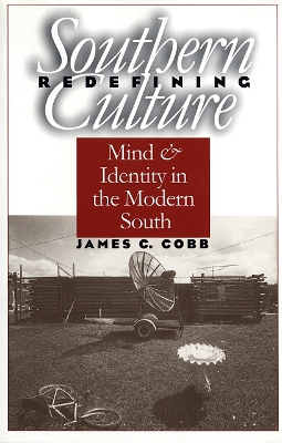 Book cover for Redefining Southern Culture