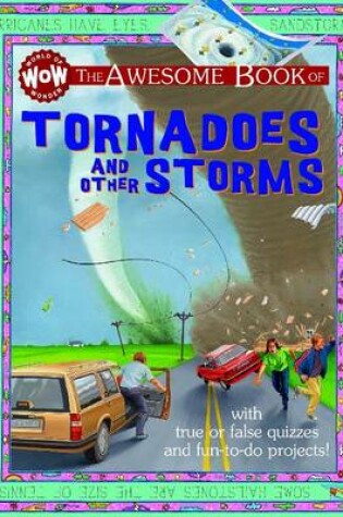 Cover of Tornadoes & Other Storms
