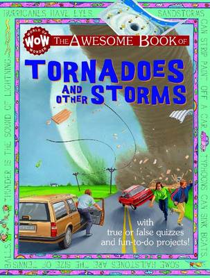 Book cover for Tornadoes & Other Storms