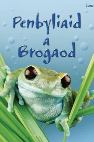 Cover of Cyfres Dechrau Da: Penbyliaid a Brogaod