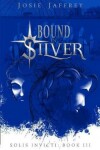Book cover for Bound in Silver