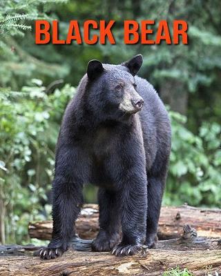 Book cover for Black Bear