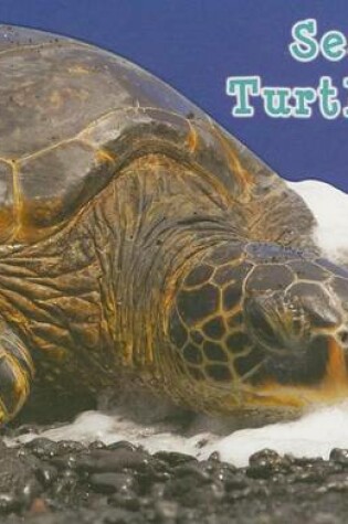 Cover of Sea Turtles, What Do You Do?
