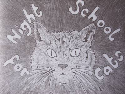 Book cover for Night School for Cats