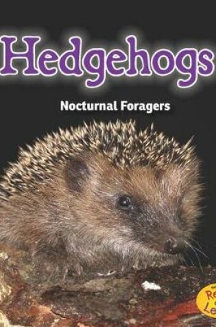 Cover of Hedgehogs: Nocturnal Foragers (Night Safari)