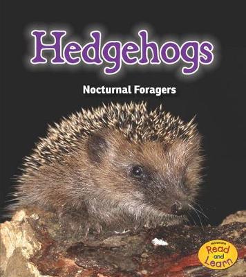 Book cover for Hedgehogs: Nocturnal Foragers (Night Safari)