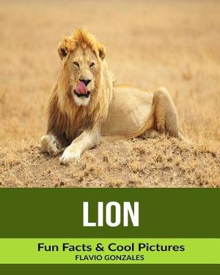 Book cover for Lion