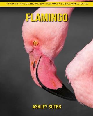 Book cover for Flamingo