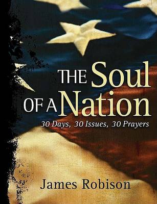 Book cover for The Soul of a Nation